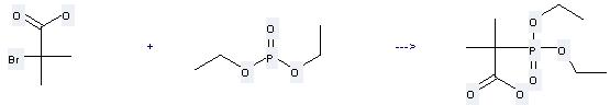 2-Bromo-2-methylpropanoic acid can be used to produce 2-(diethoxy-phosphoryl)-2-methyl-propionic acid